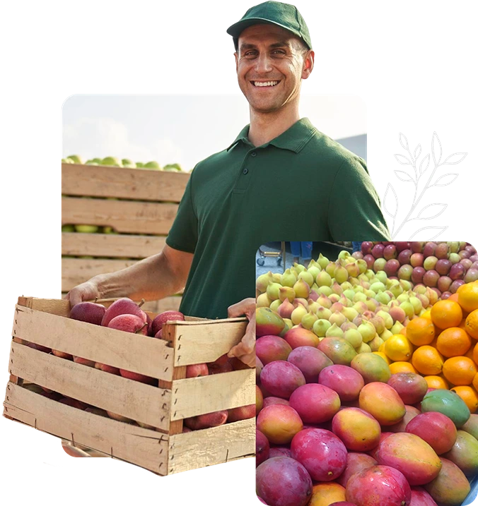 Um homem sorridente de uniforme verde e boné ao ar livre segura uma caixa de madeira cheia de maçãs vermelhas frescas, exibindo uma expressão alegre. Isso mostra o ambiente de trabalho sobre gerência da Vital FLV, organizado e bem composto, demostrando a experiência da Vita FLV no setor de Trade Marketing para FLV.
